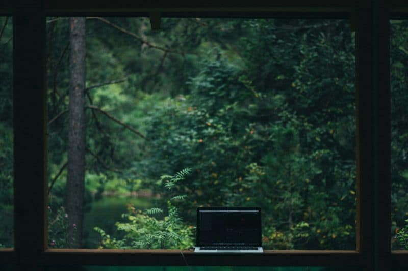 Ordinateur portable ouvert au milieu d’une forêt